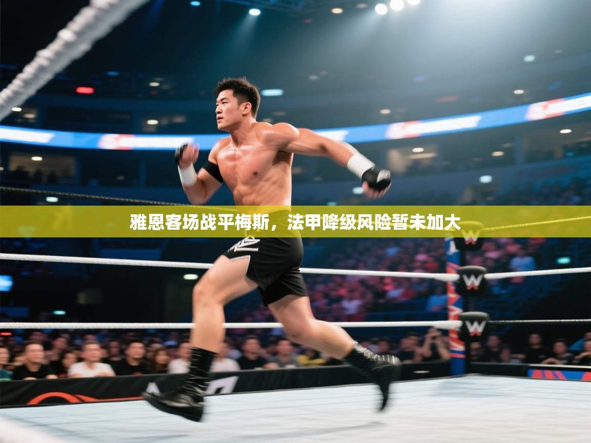 雅恩客场战平梅斯，法甲降级风险暂未加大  第2张