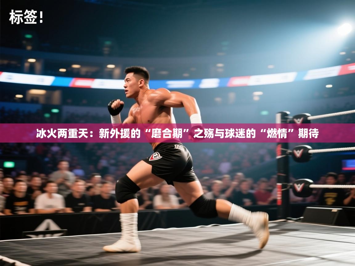 冰火两重天：新外援的“磨合期”之殇与球迷的“燃情”期待
