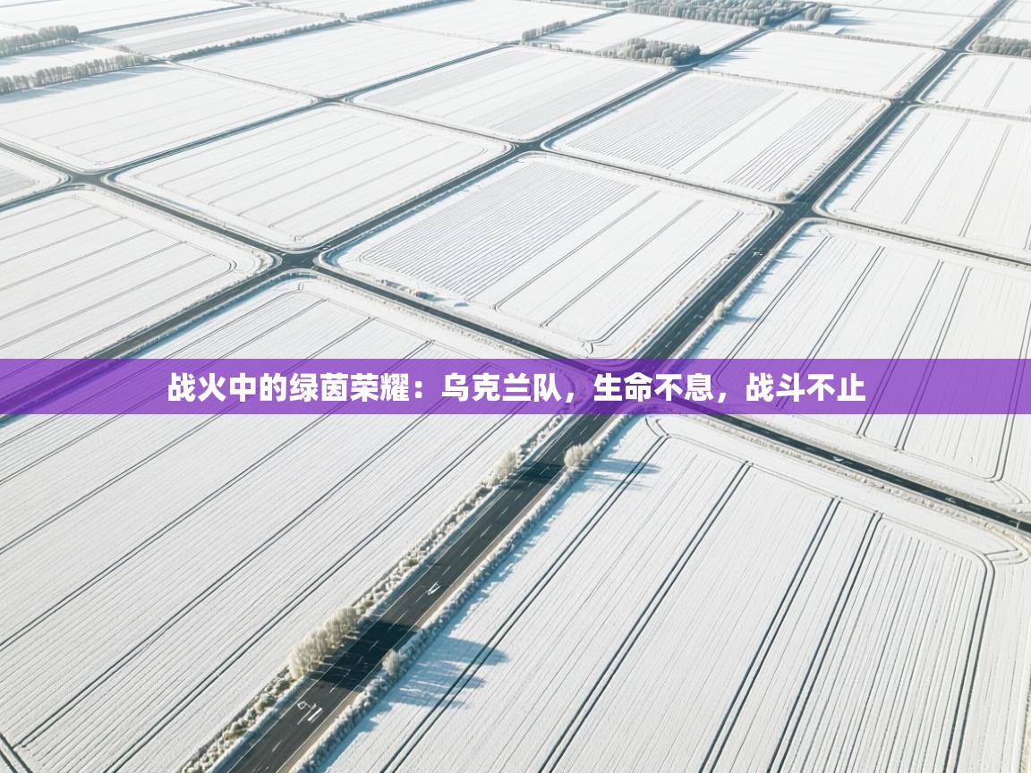 战火中的绿茵荣耀：乌克兰队，生命不息，战斗不止  第2张