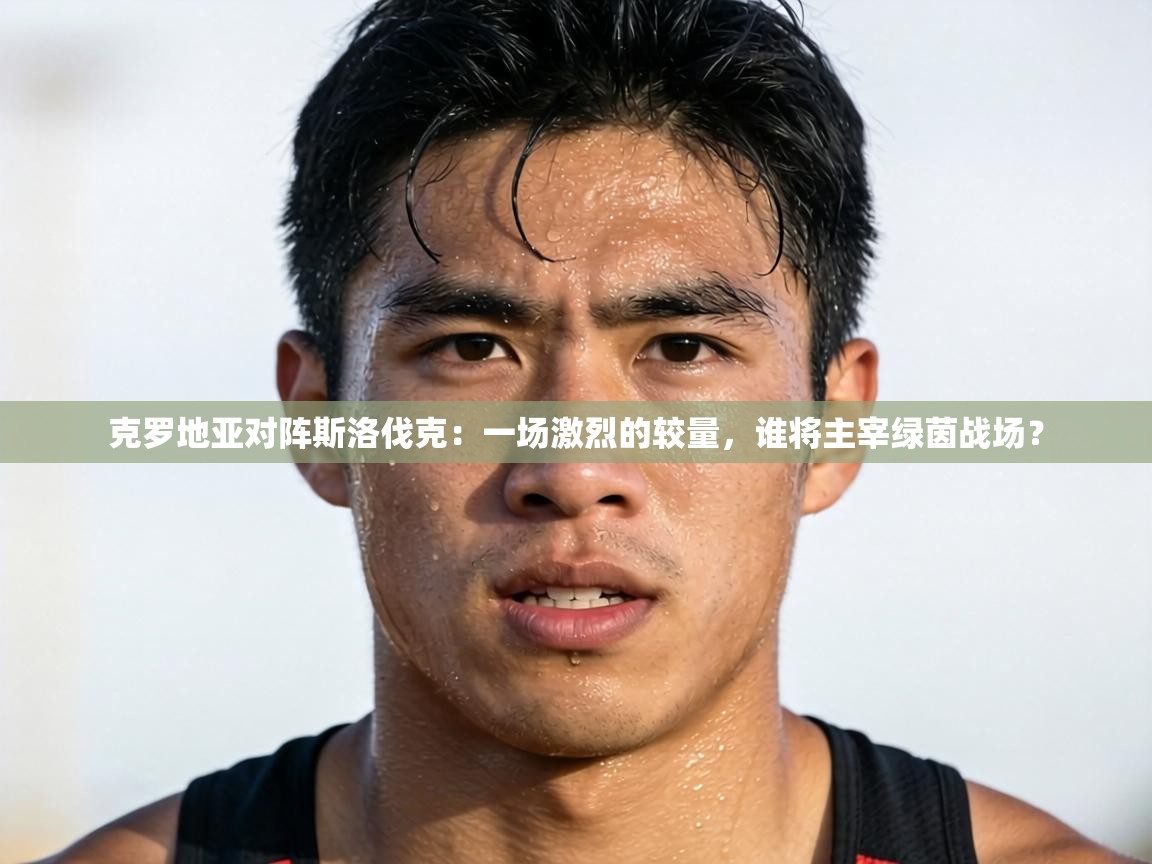 克罗地亚对阵斯洛伐克：一场激烈的较量，谁将主宰绿茵战场？  第2张