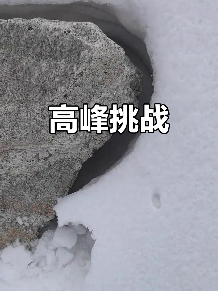 队员斗志昂扬，欧洲赛区预选赛攀登高峰的简单介绍